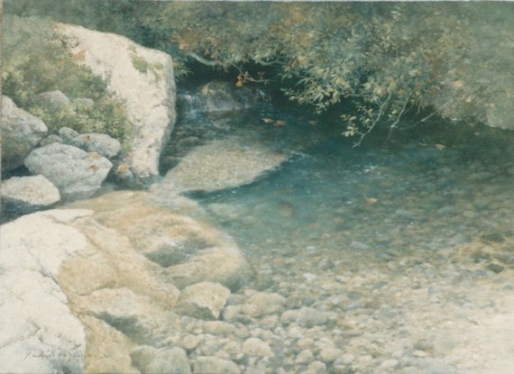 水辺（最上川源流）